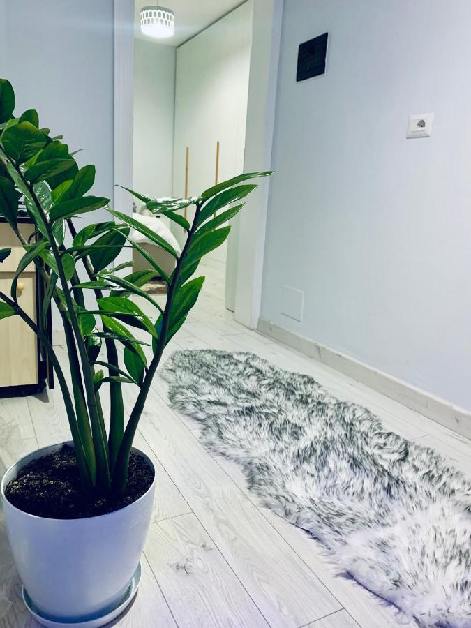 شقة Cozy Corner تيرانا المظهر الخارجي الصورة
